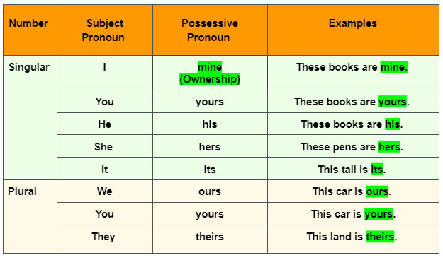 Possessive Pronoun  english